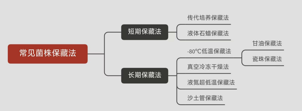 常見(jiàn)菌株保藏法的優(yōu)缺點(diǎn)對(duì)比 常見(jiàn)菌株保藏法的優(yōu)缺點(diǎn)對(duì)比